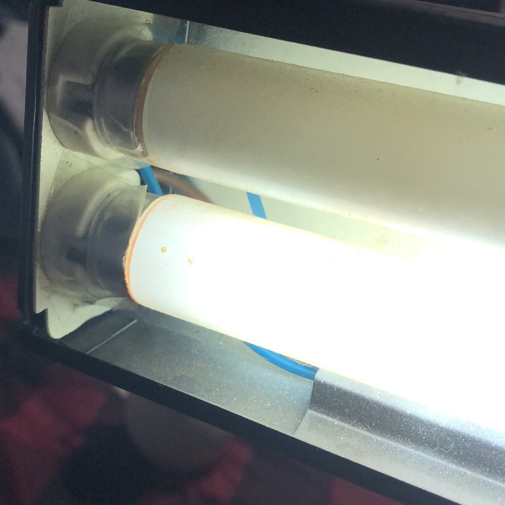 Retro Desk Lamp - Picture 7 of 9